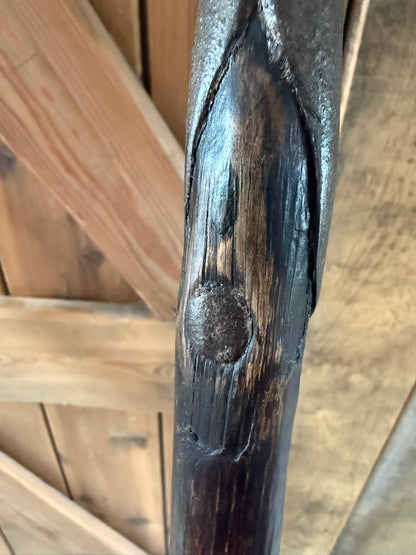 Very Fine 19th Century Leg Crook