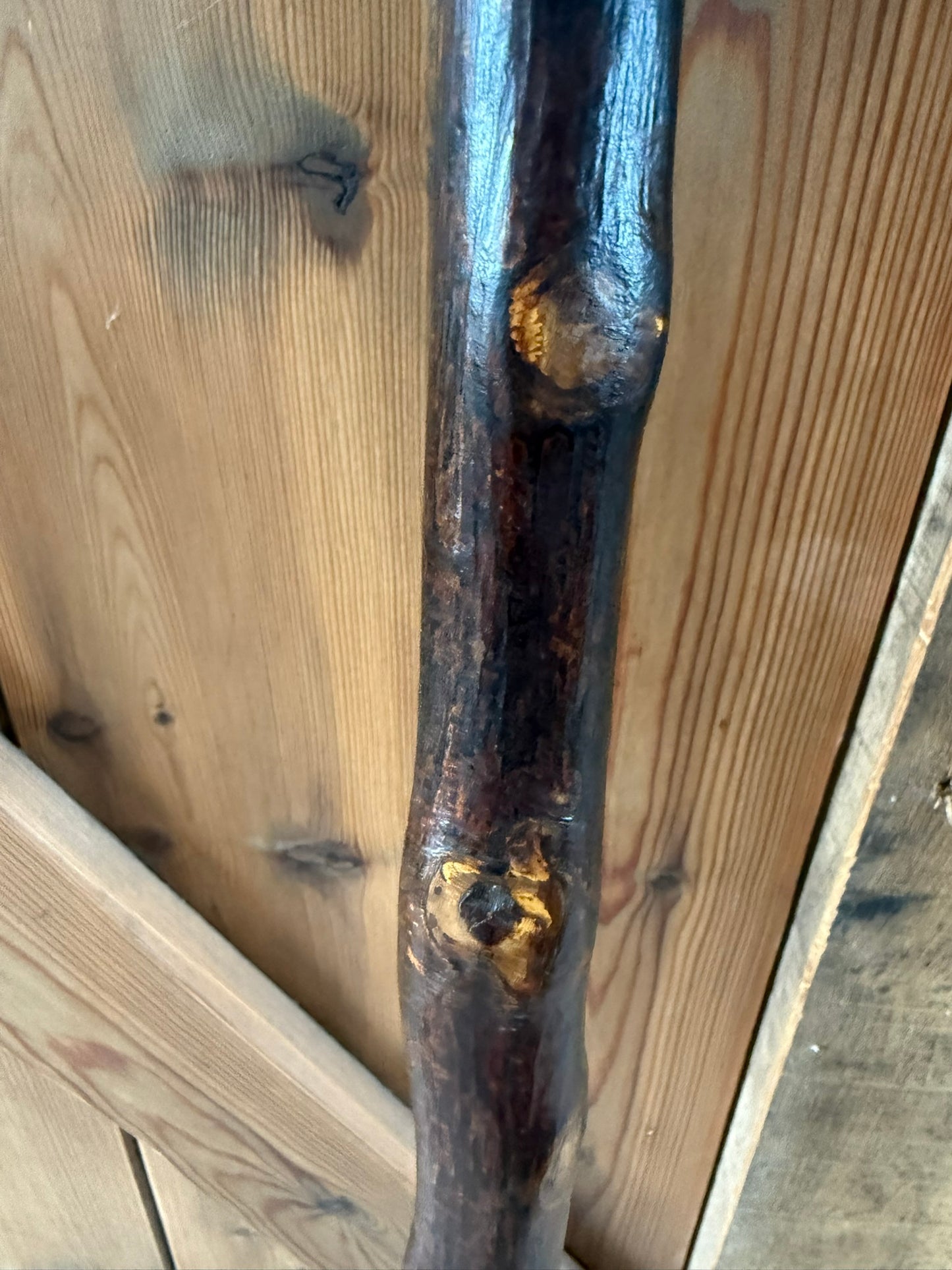 Very Fine 19th Century Leg Crook