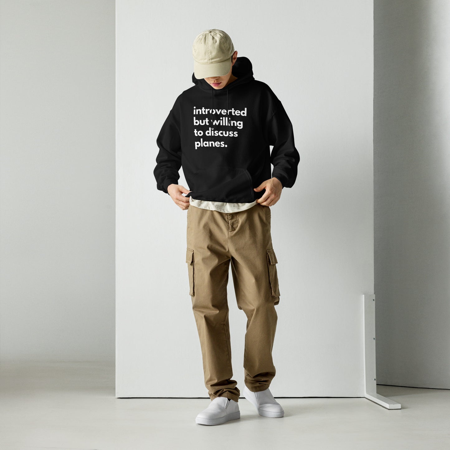 Introverted But Willing To Discuss Planes Unisex Hoodie