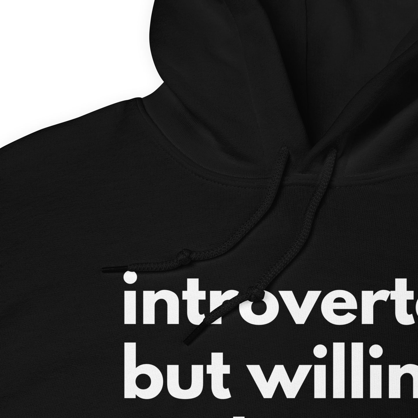 Introverted But Willing To Discuss Planes Unisex Hoodie