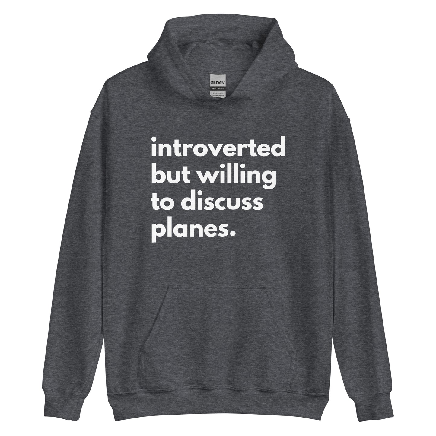 Introverted But Willing To Discuss Planes Unisex Hoodie